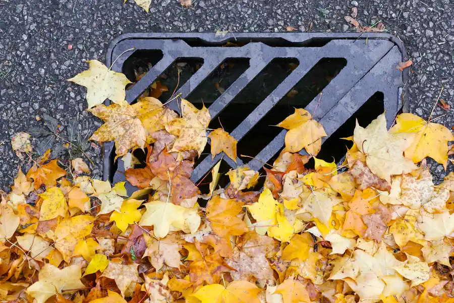 How Poor Drainage Affects Your Homes Foundation in Mt Vernon, NY How Poor Drainage Affects Your Homes Foundation in Mt Vernon, NY