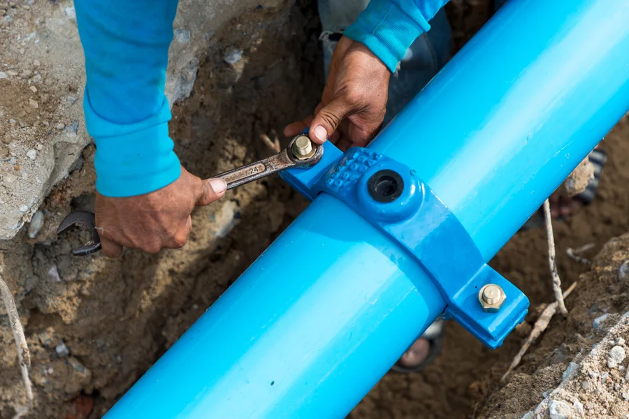 How Tree Roots Can Damage Your Sewer Line Mt Vernon, NY How Tree Roots Can Damage Your Sewer Line Mt Vernon, NY
